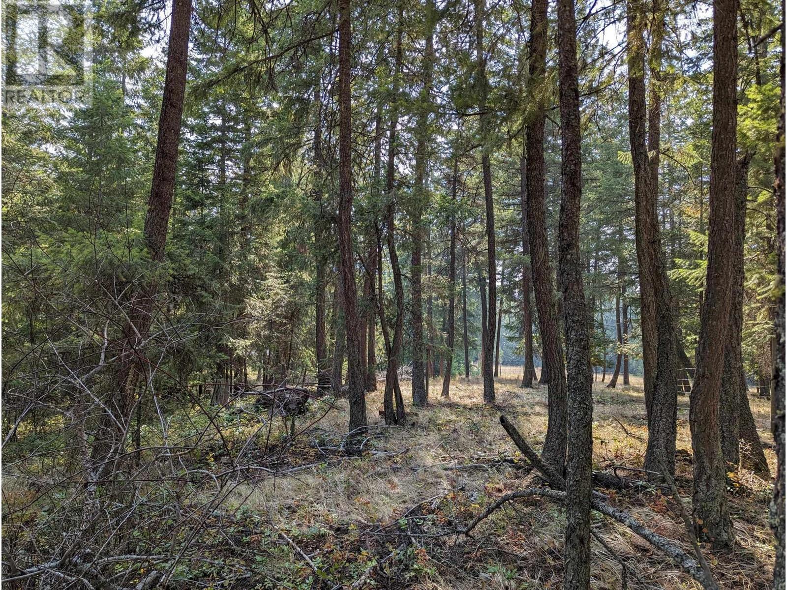 8569 Black Mountain Road, Chase, BC