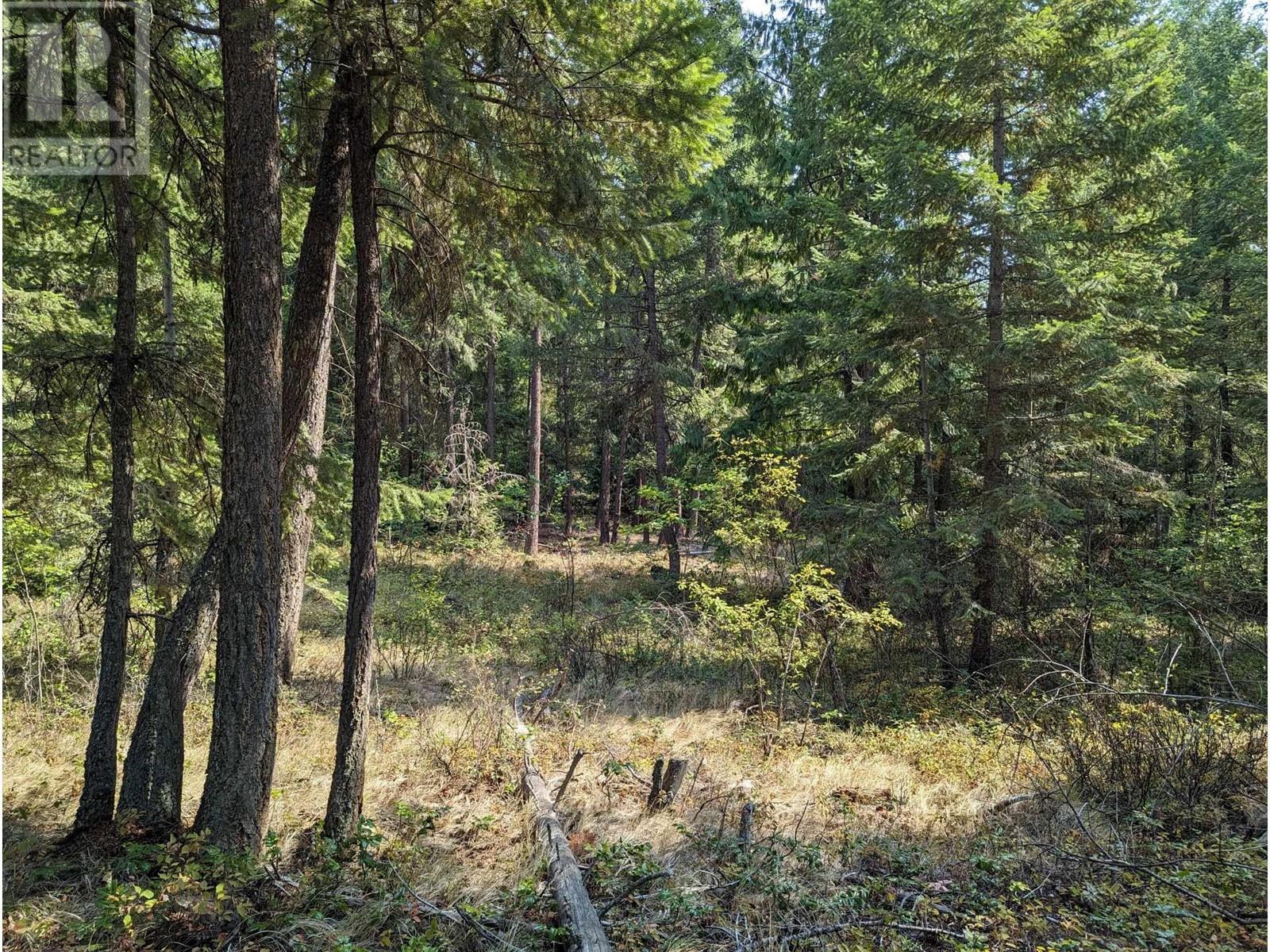 8569 Black Mountain Road, Chase, BC