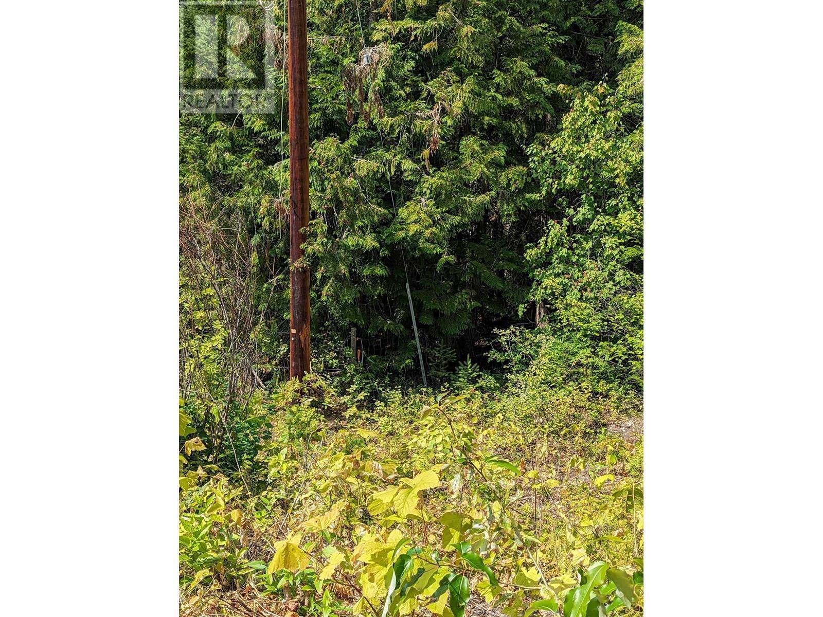 8569 Black Mountain Road, Chase, BC