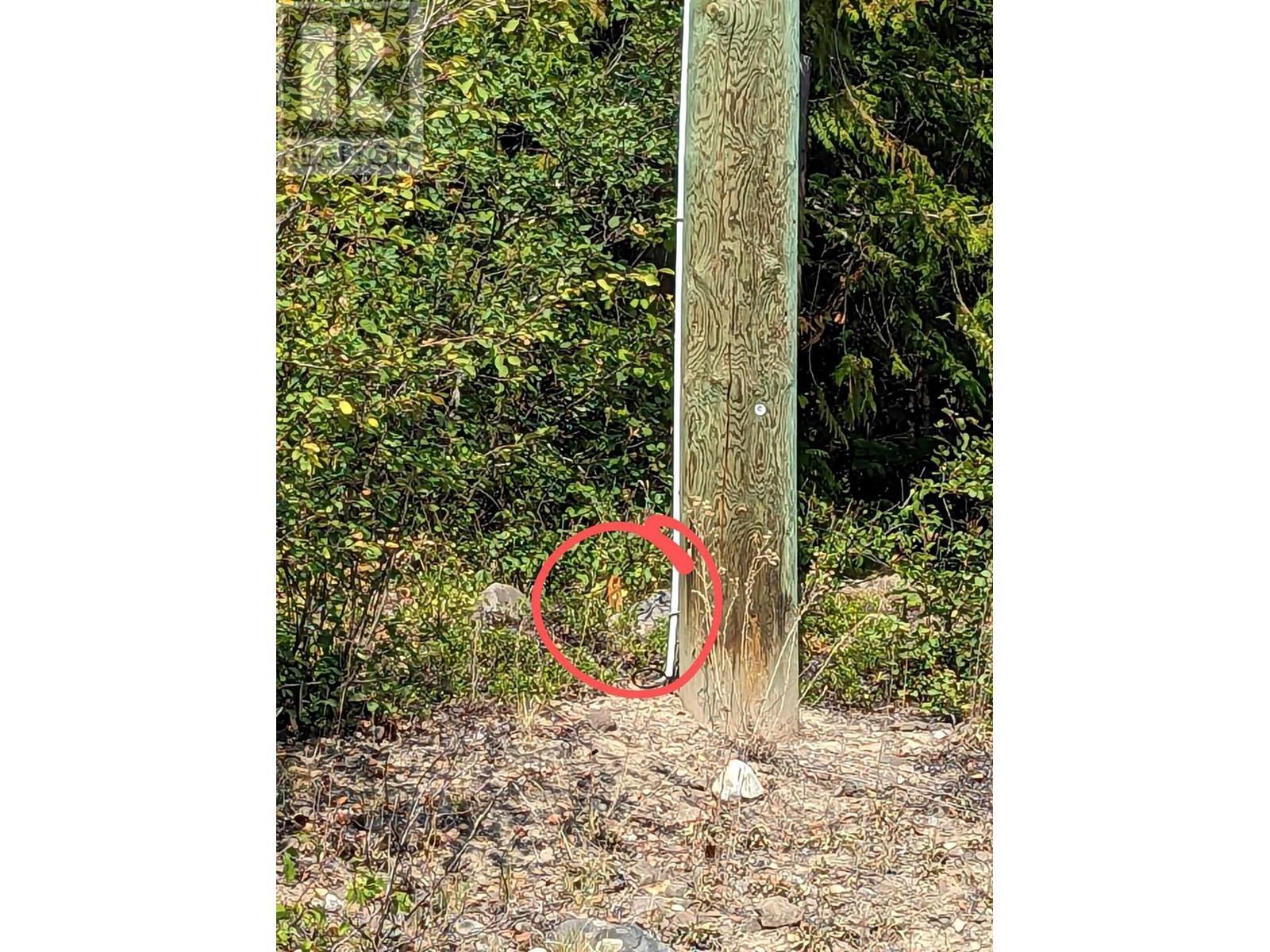 8569 Black Mountain Road, Chase, BC