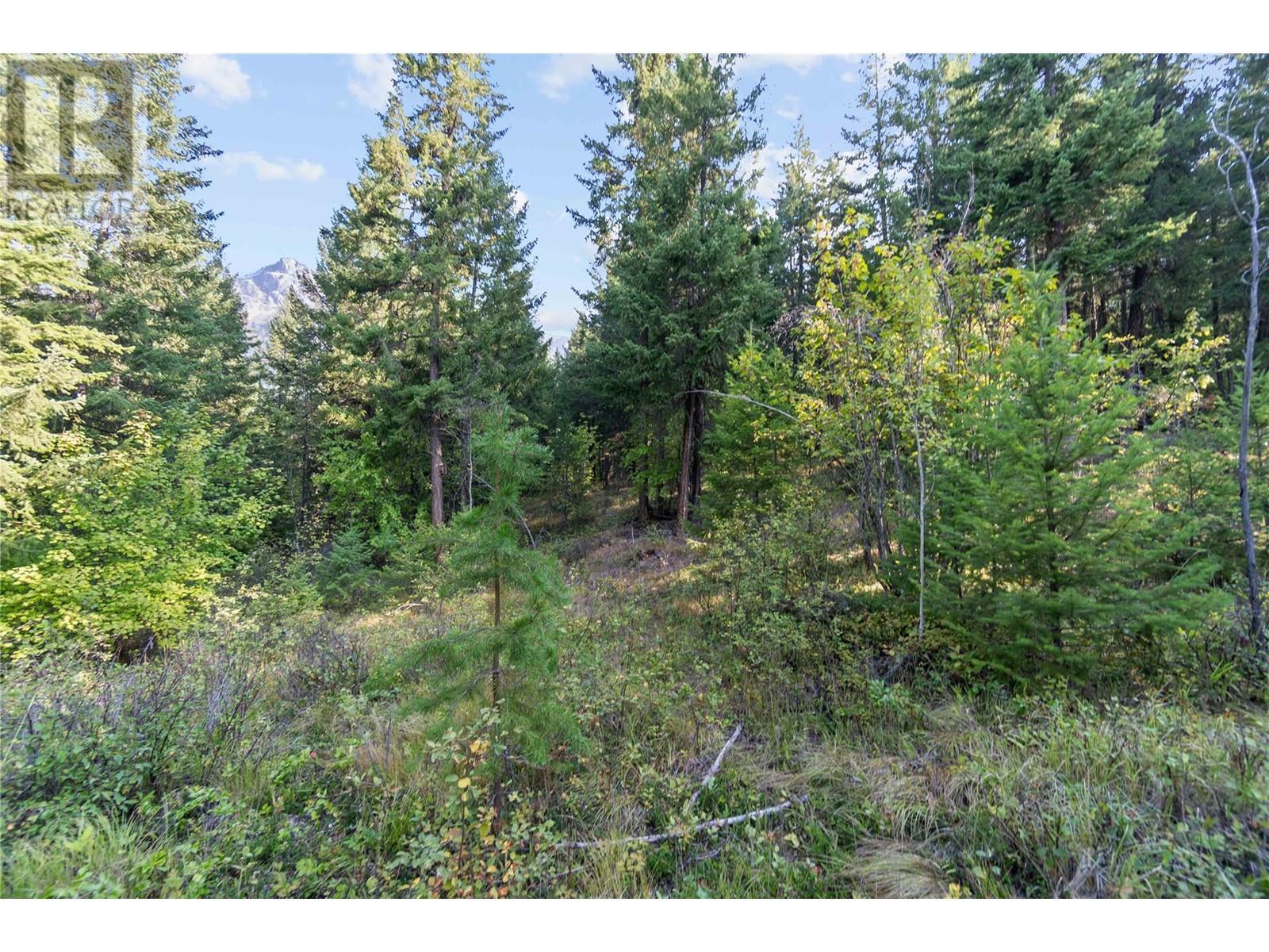 8569 Black Mountain Road, Chase, BC