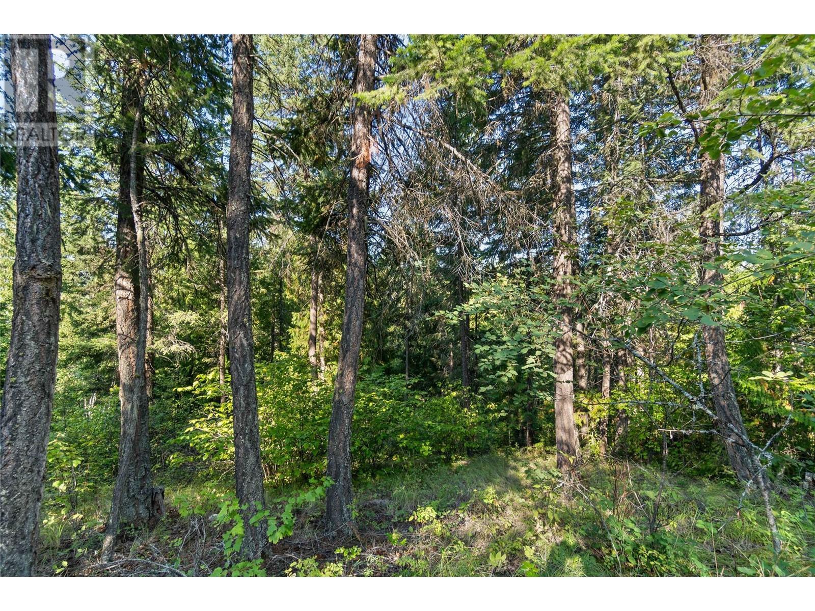 8569 Black Mountain Road, Chase, BC