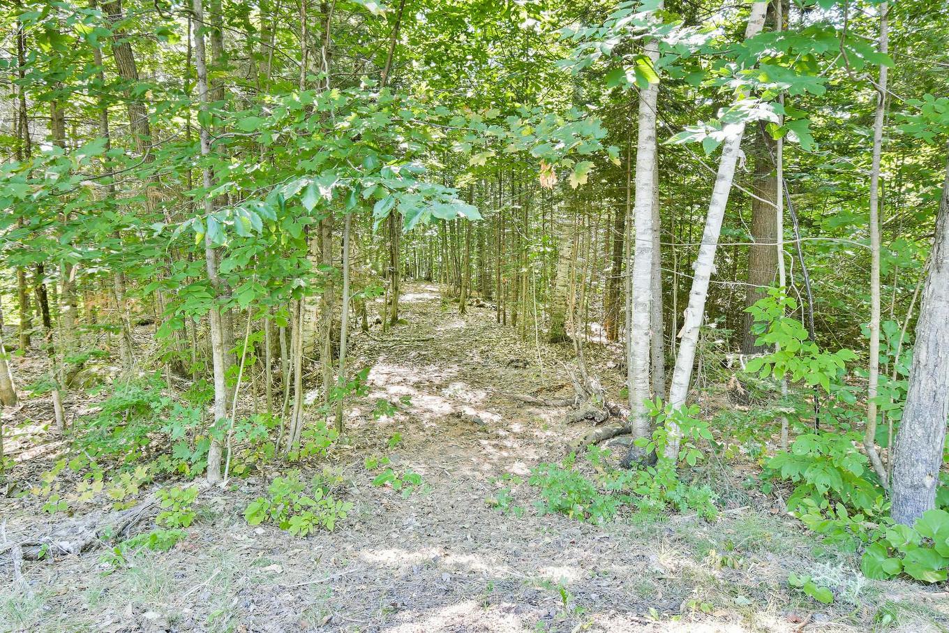 Terre/Terrain - Ch. Du Bois, Piedmont, QC