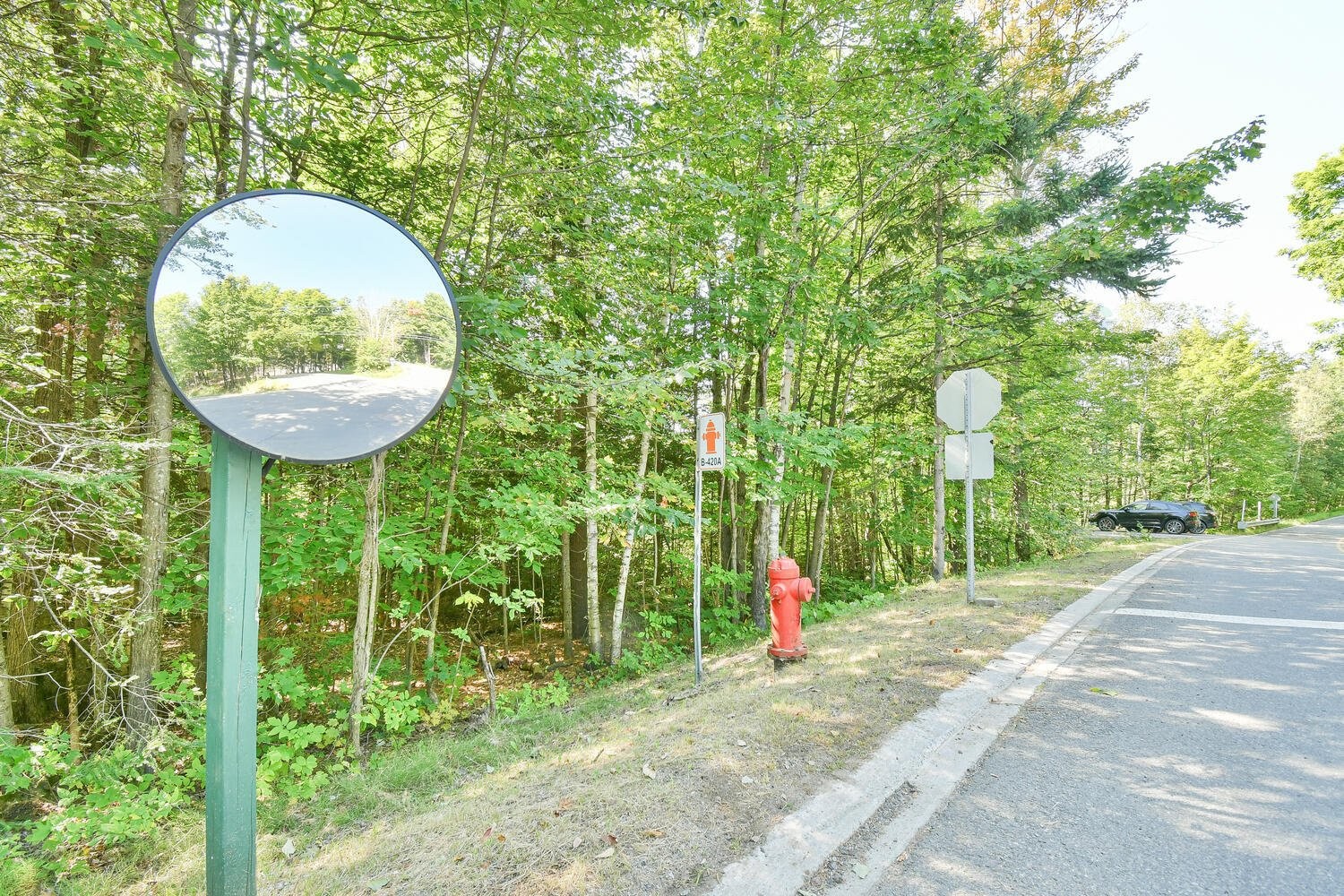 Terre/Terrain - Ch. Du Bois, Piedmont, QC