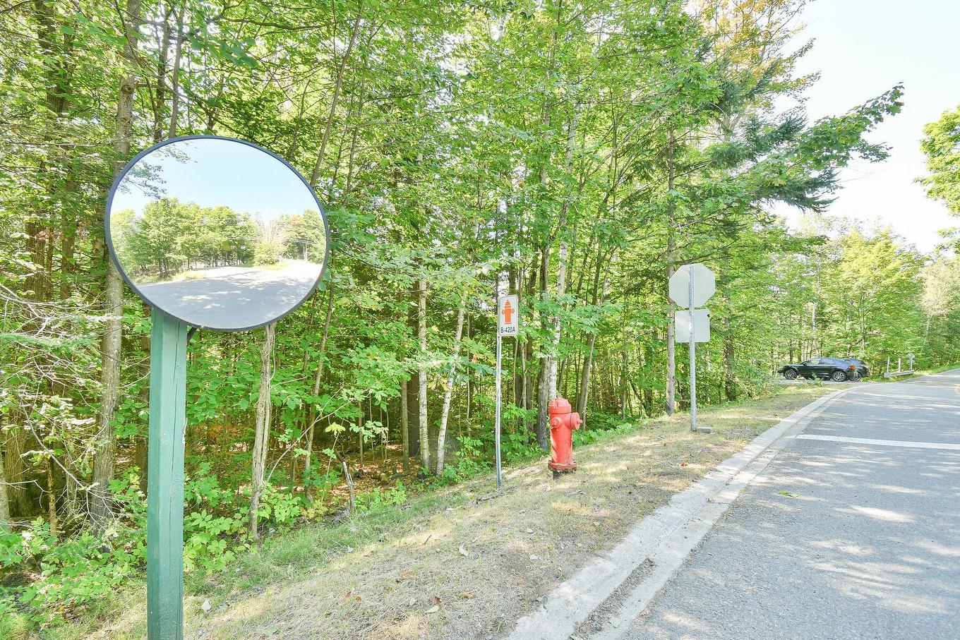 Terre/Terrain - Ch. Du Bois, Piedmont, QC