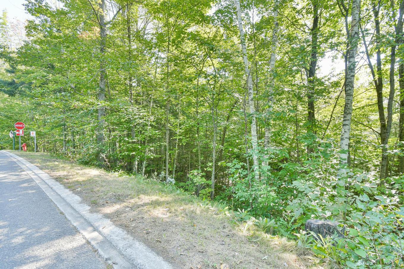 Terre/Terrain - Ch. Du Bois, Piedmont, QC