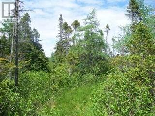 46A & 50B Kippens Road, Kippens, NL