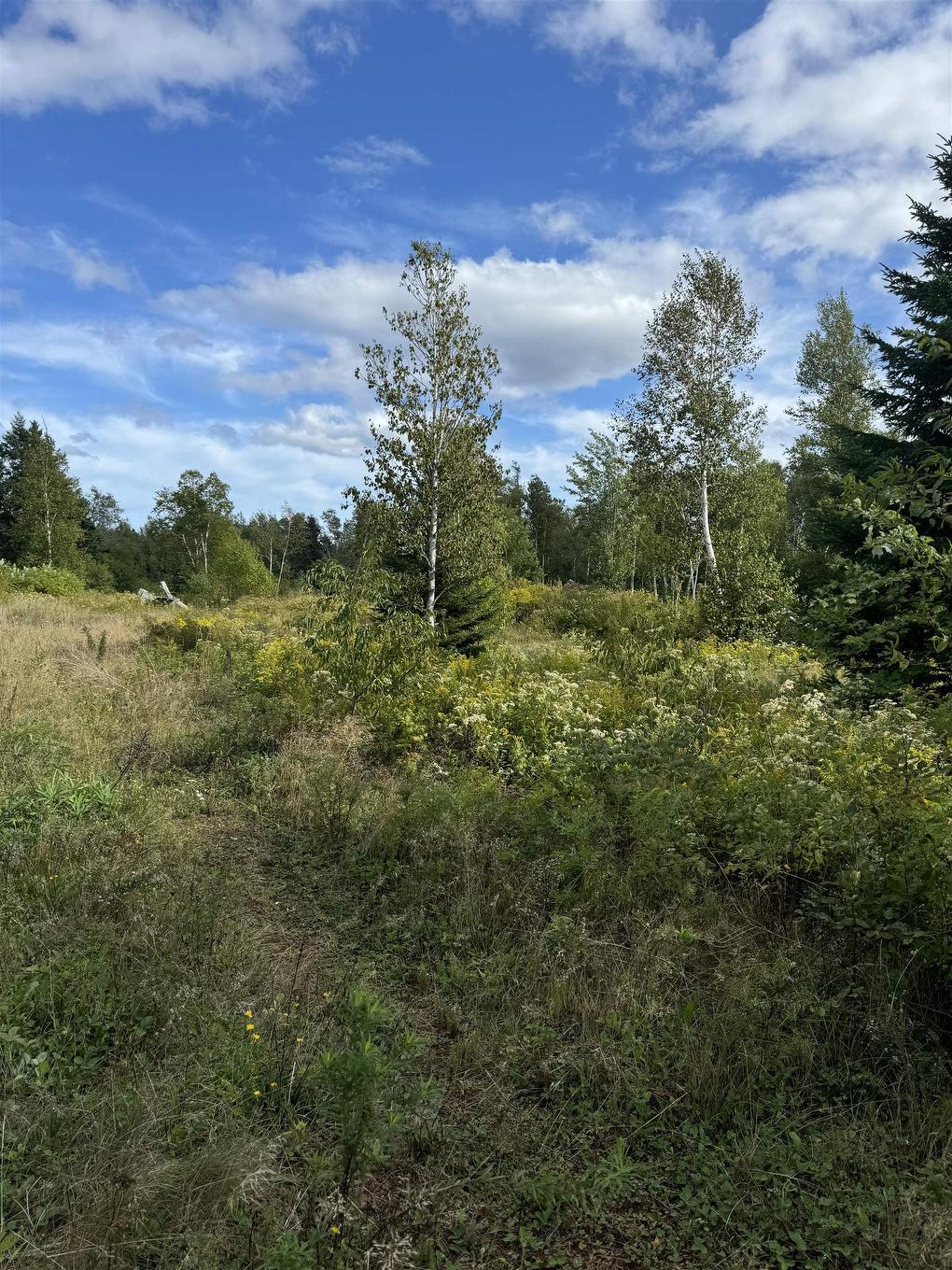 3875 Rte 17, Gaspereaux, PE