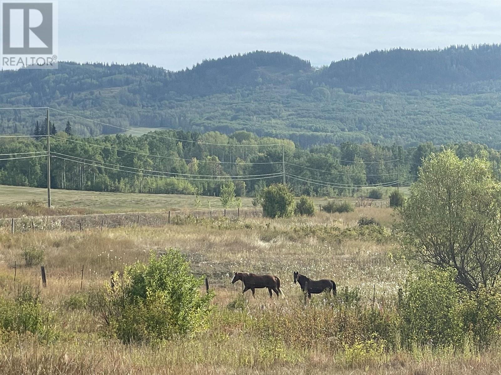 4421 Tyhee Lake Road, Telkwa, BC