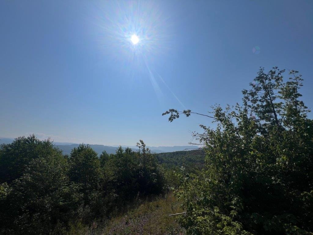 Terre/Terrain - Rang 6 Cap-Chat, Sainte-Anne-Des-Monts, QC