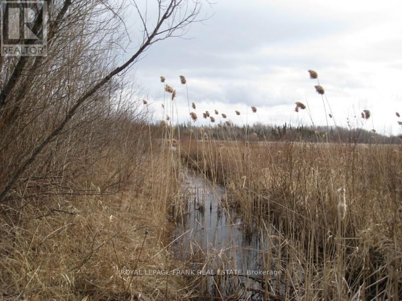 0 Mervin Line, Cavan Monaghan (Cavan-Monaghan), ON