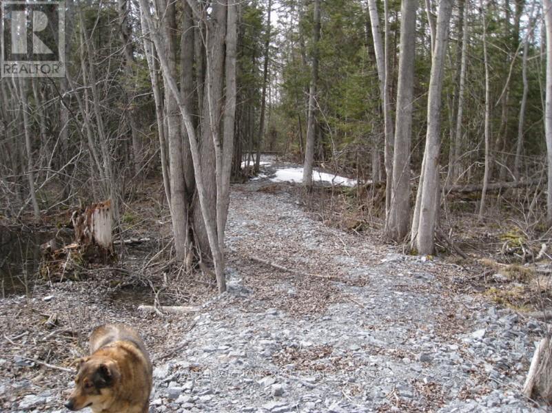 0 Mervin Line, Cavan Monaghan (Cavan-Monaghan), ON