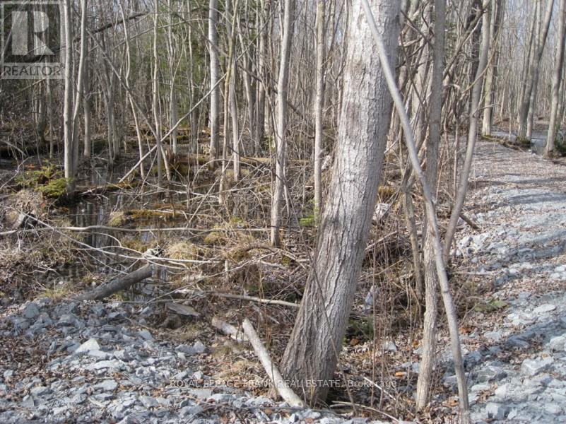 0 Mervin Line, Cavan Monaghan (Cavan-Monaghan), ON