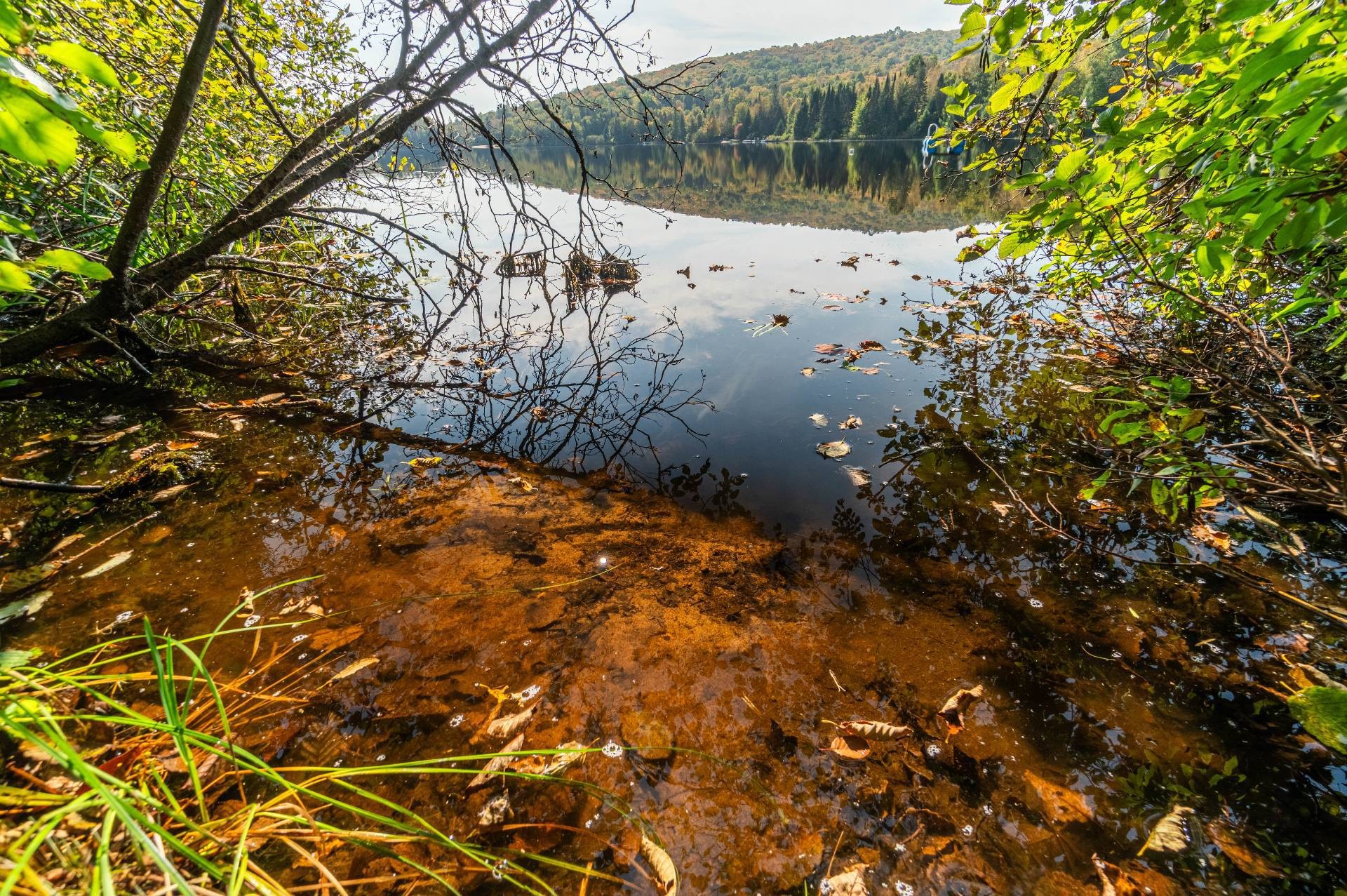 Accès au plan d'eau - Ch. Du Genêt, L'Ascension, QC