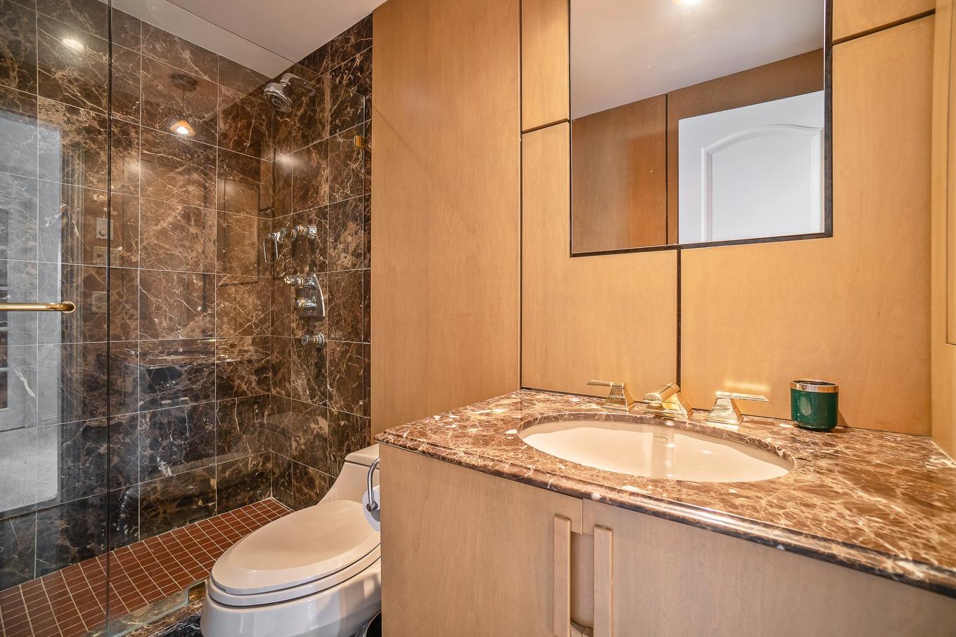 Salle de bains - 707-2500 Av. Pierre-Dupuy, Montréal (Ville-Marie), QC - Indoor Photo Showing Bathroom