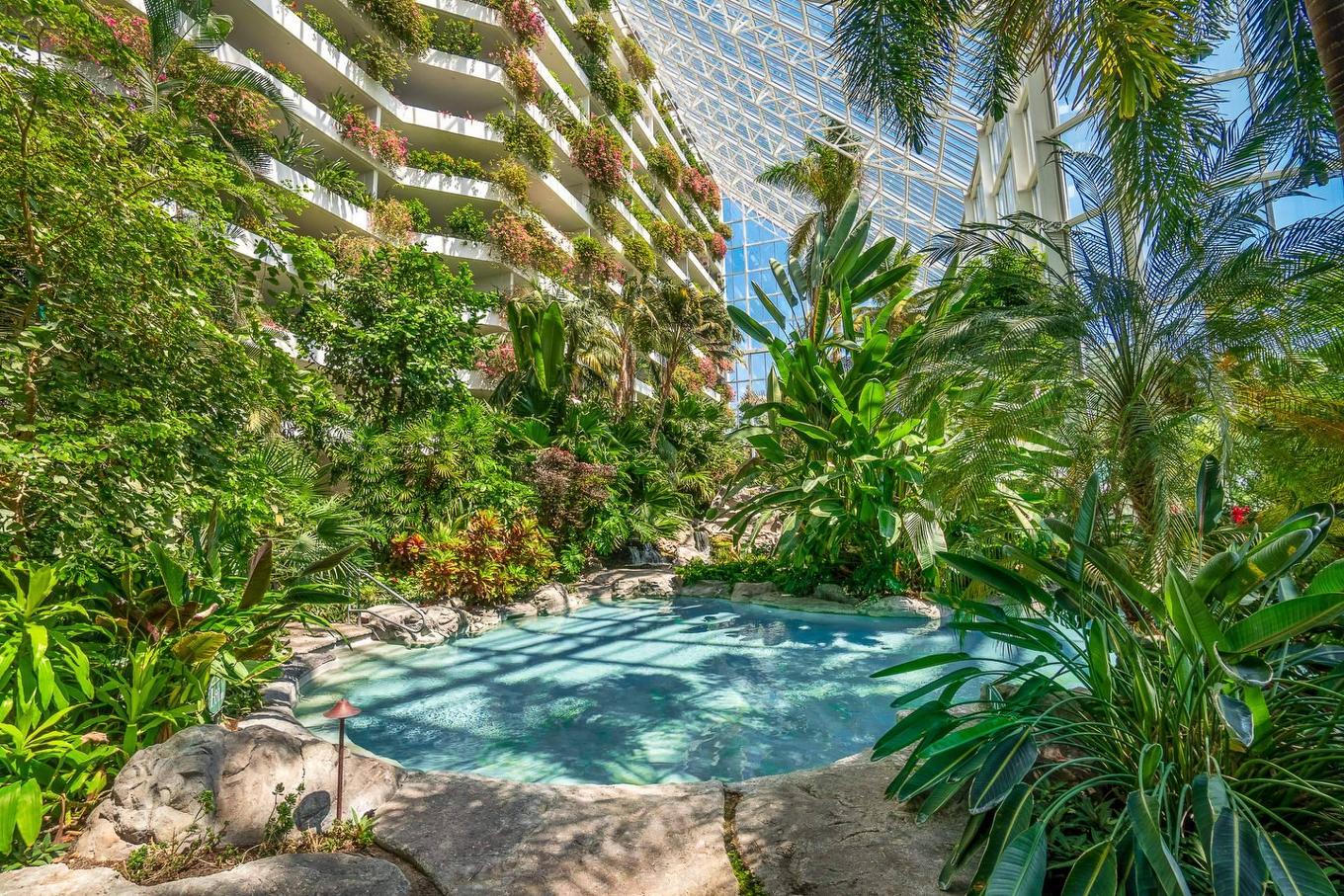 Piscine - 707-2500 Av. Pierre-Dupuy, Montréal (Ville-Marie), QC - Outdoor