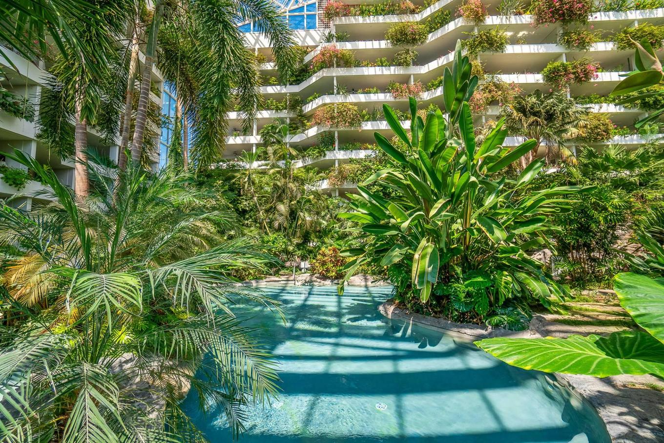 Piscine - 707-2500 Av. Pierre-Dupuy, Montréal (Ville-Marie), QC - Outdoor