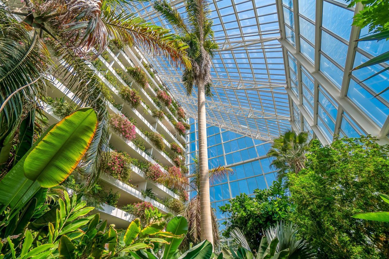 Autre - 707-2500 Av. Pierre-Dupuy, Montréal (Ville-Marie), QC -