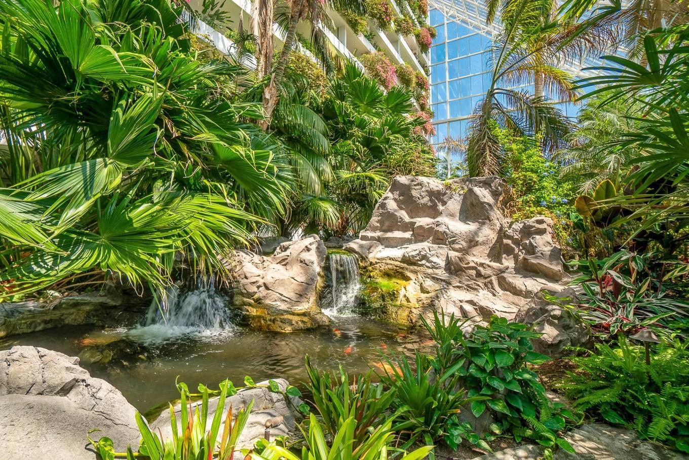 Autre - 707-2500 Av. Pierre-Dupuy, Montréal (Ville-Marie), QC - Outdoor