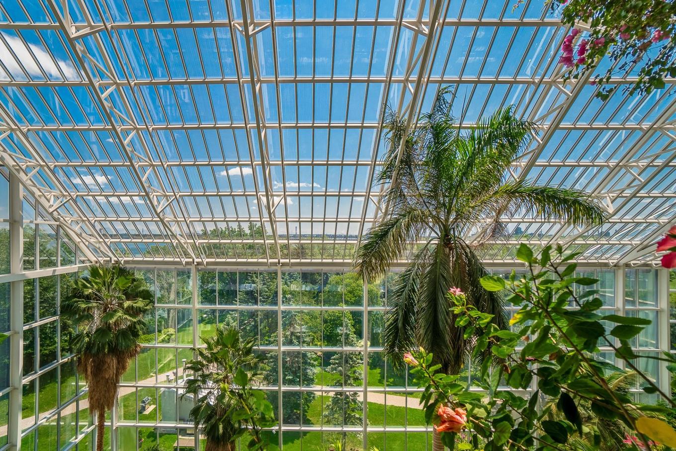 Vue - 707-2500 Av. Pierre-Dupuy, Montréal (Ville-Marie), QC - Outdoor