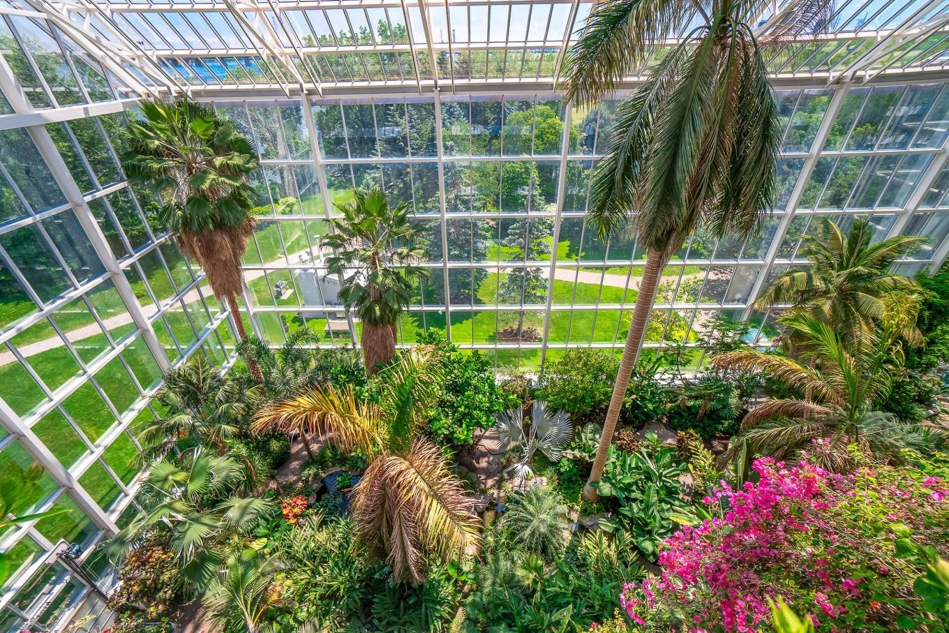 Vue - 707-2500 Av. Pierre-Dupuy, Montréal (Ville-Marie), QC -