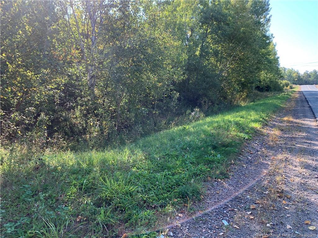 Vacant Lot Noel Rd, Belledune, NB
