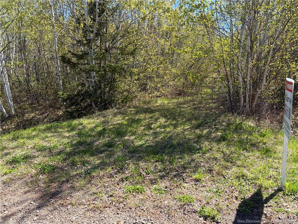 Vacant Lot Noel Rd, Belledune, NB