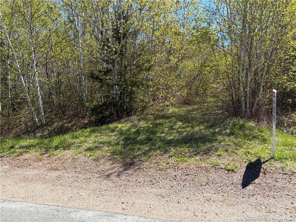 Vacant Lot Noel Rd, Belledune, NB