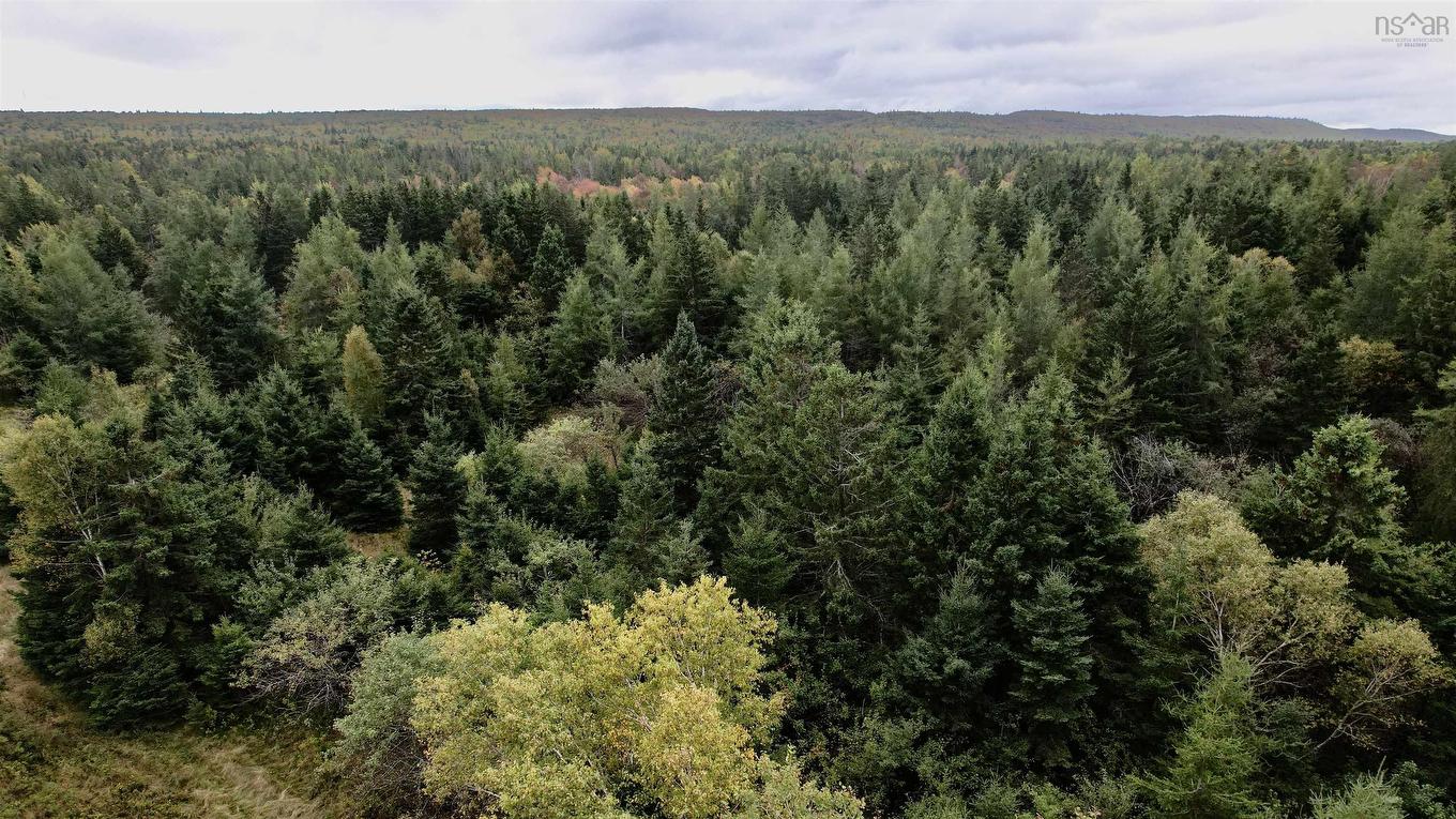 8Lots+80Acres Beechmont Road, Beechmont, NS