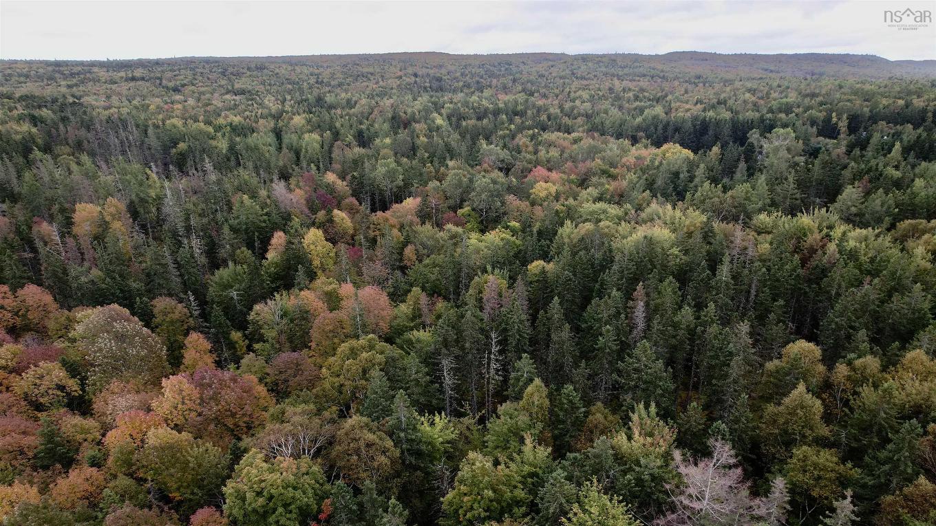 8Lots+80Acres Beechmont Road, Beechmont, NS