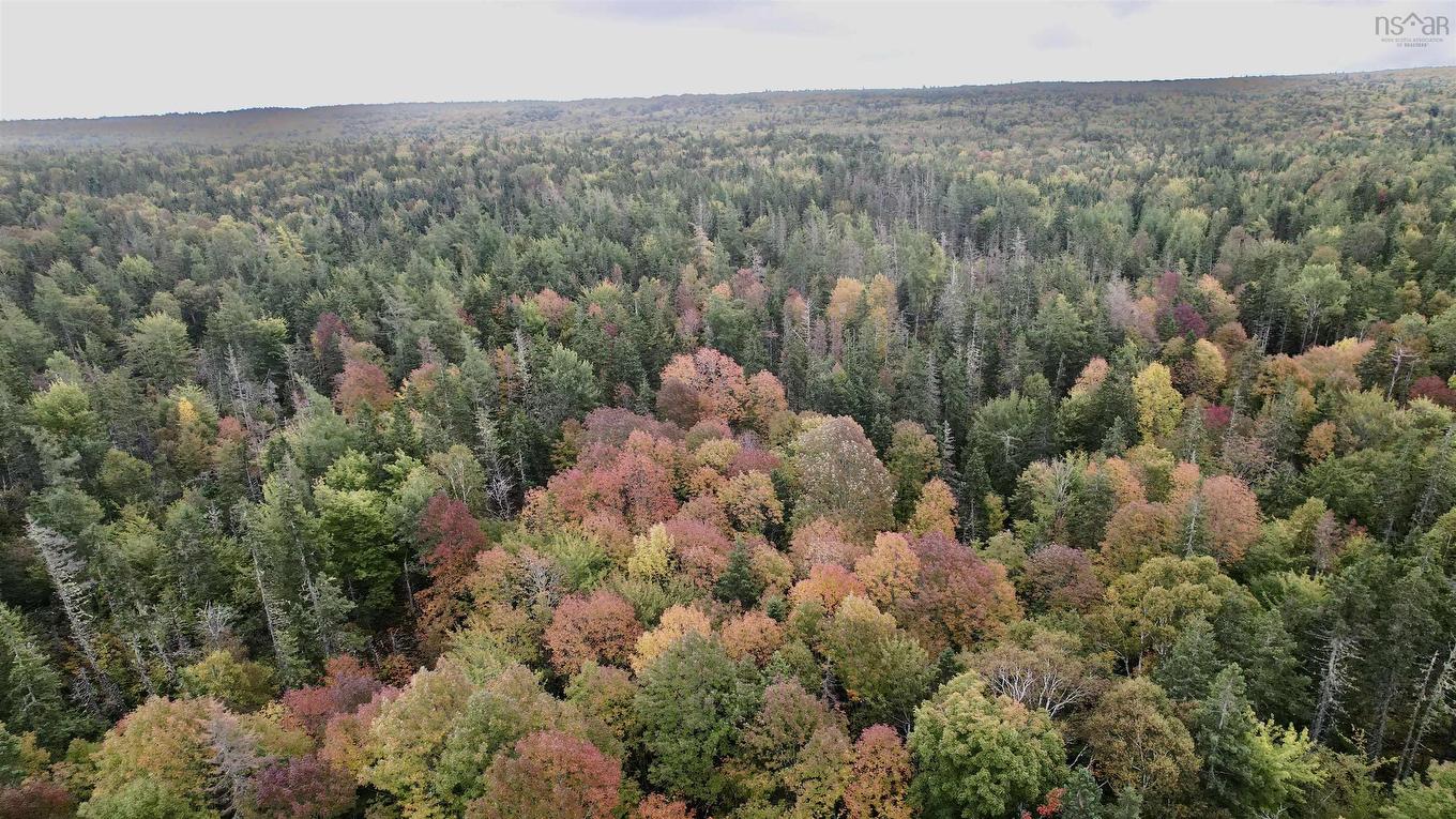 8Lots+80Acres Beechmont Road, Beechmont, NS