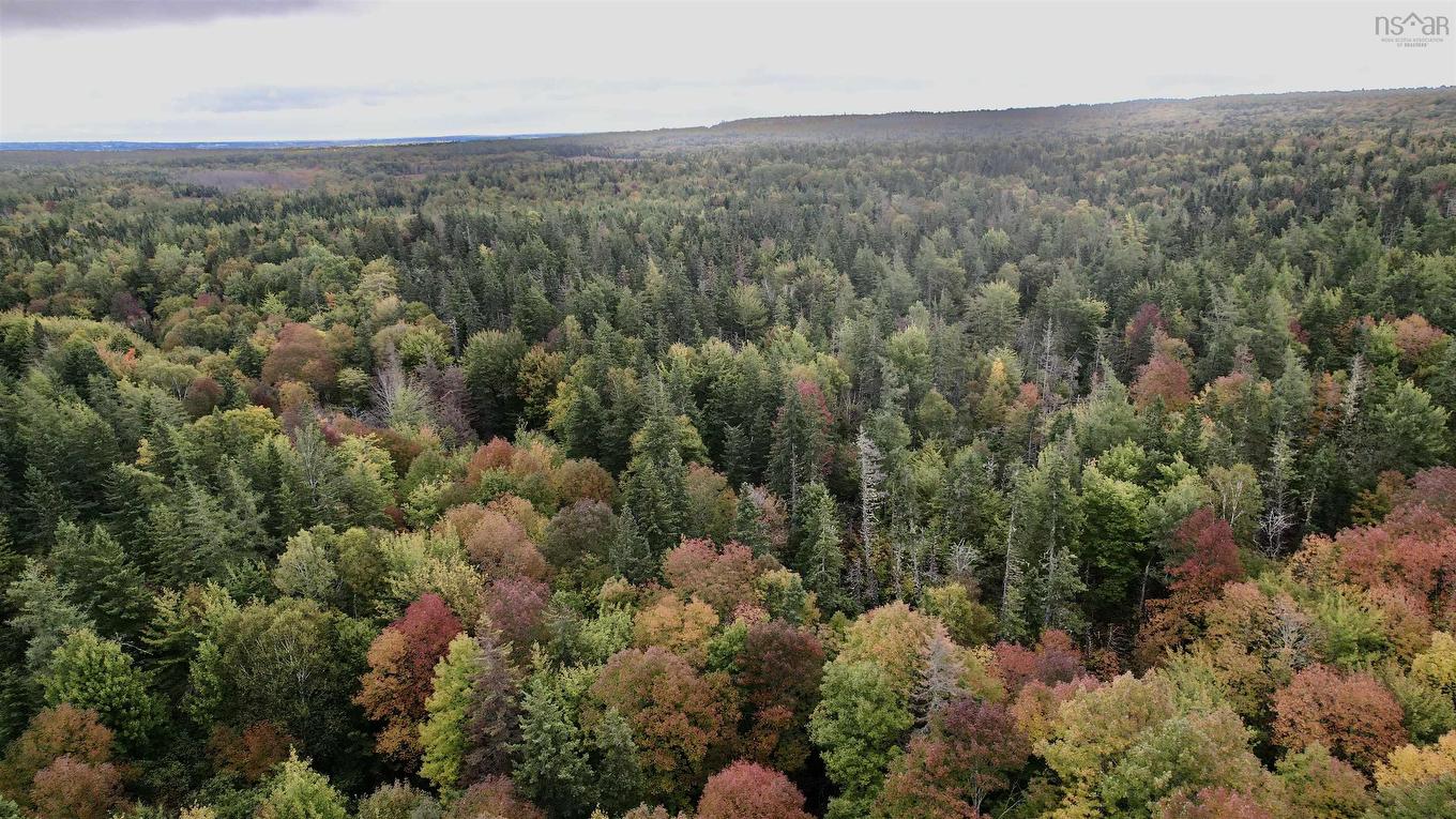 8Lots+80Acres Beechmont Road, Beechmont, NS
