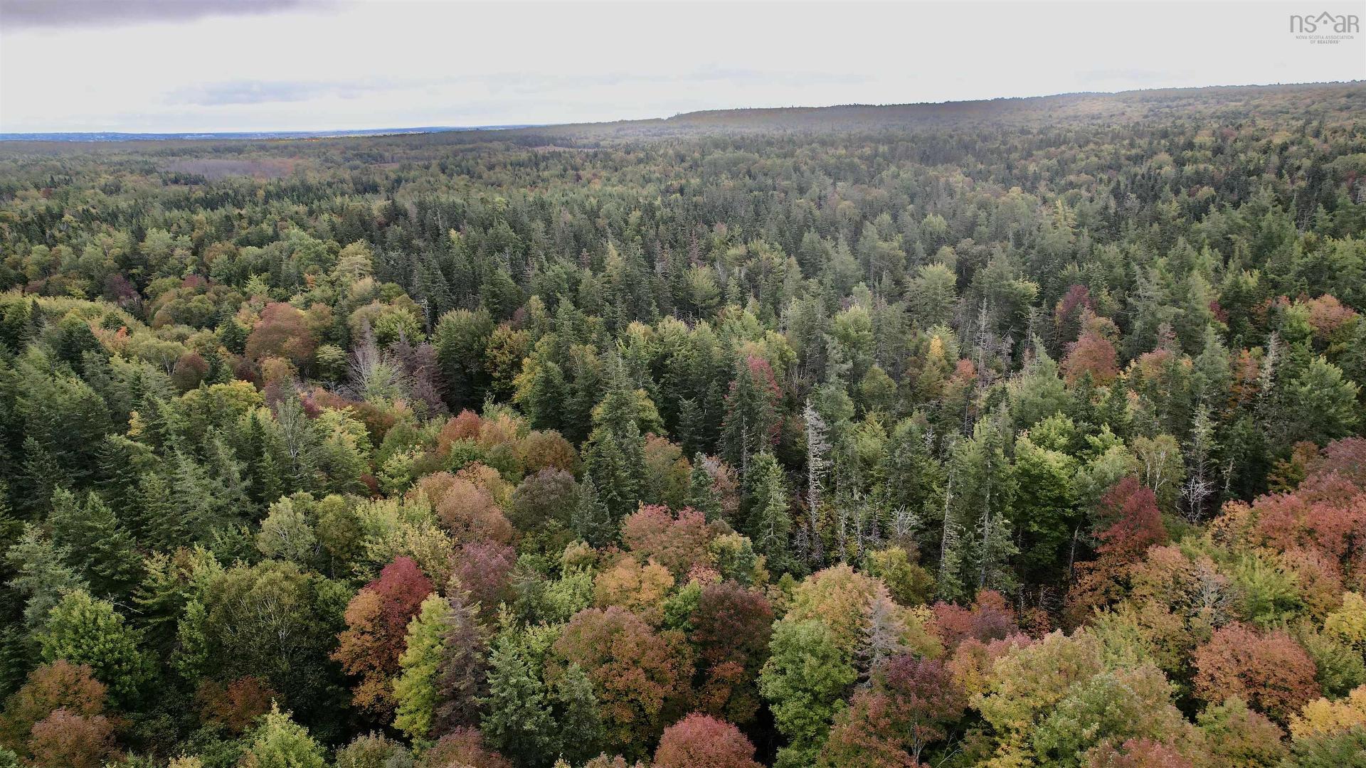 8Lots+80Acres Beechmont Road, Beechmont, NS