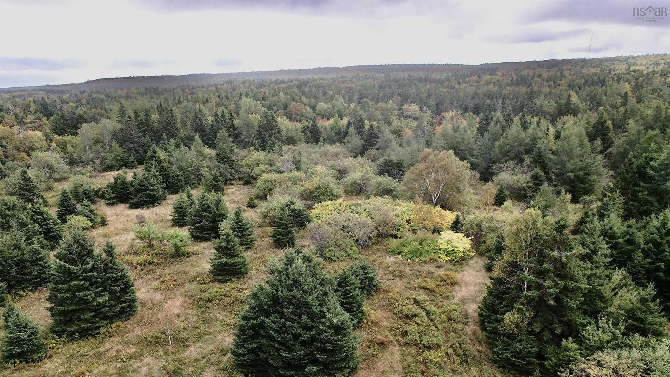 8Lots+80Acres Beechmont Road, Beechmont, NS