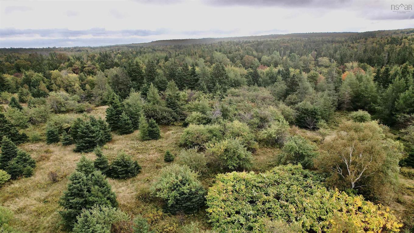 8Lots+80Acres Beechmont Road, Beechmont, NS