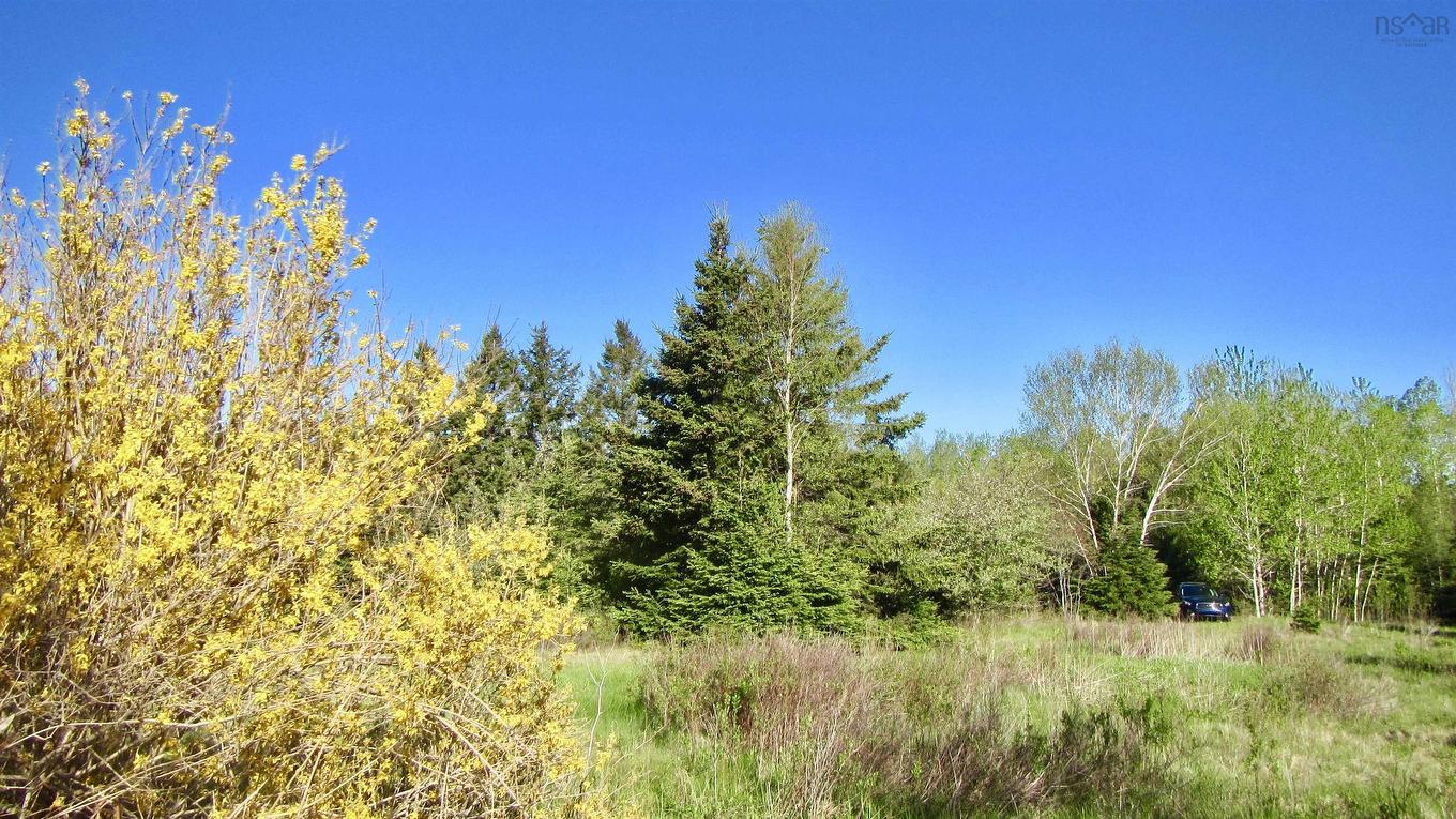 8Lots+80Acres Beechmont Road, Beechmont, NS