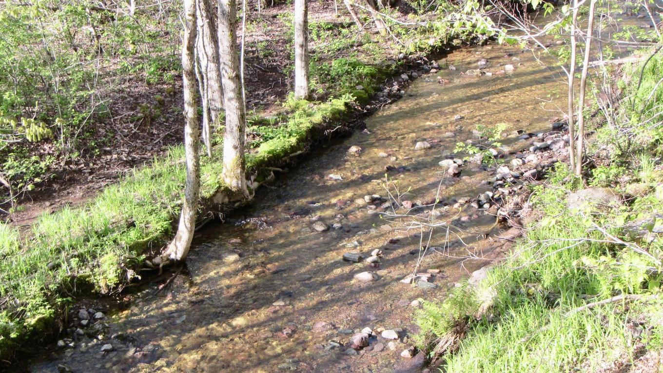 8Lots+80Acres Beechmont Road, Beechmont, NS