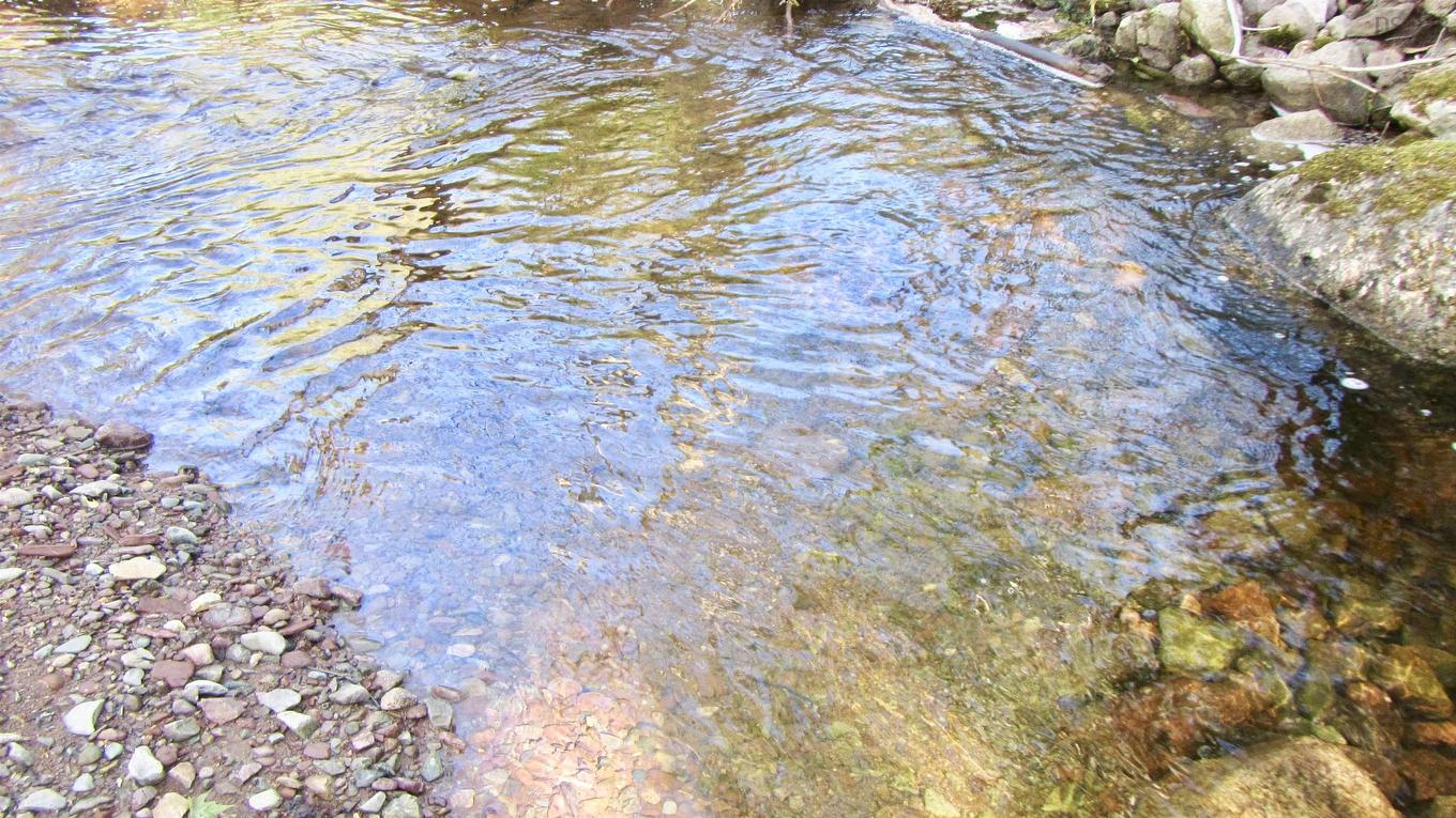 8Lots+80Acres Beechmont Road, Beechmont, NS