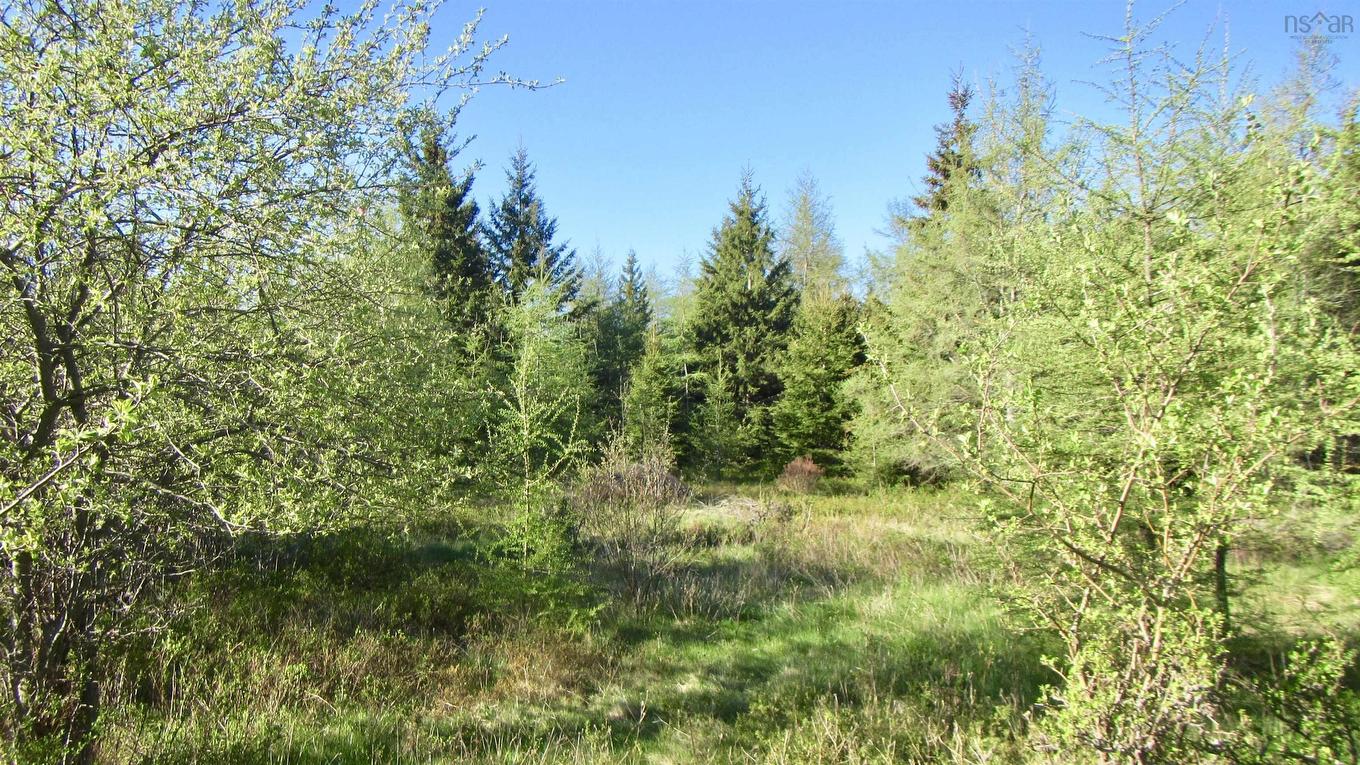 8Lots+80Acres Beechmont Road, Beechmont, NS