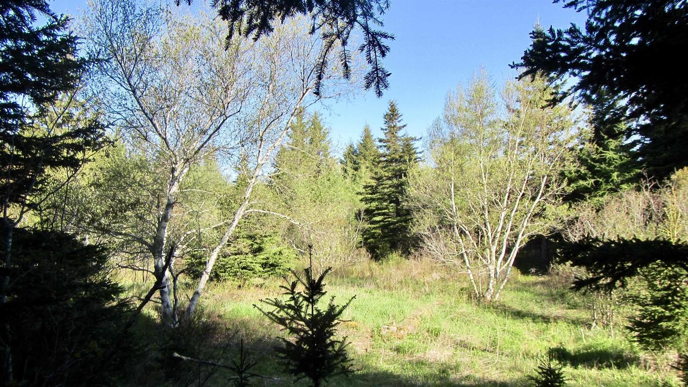 8Lots+80Acres Beechmont Road, Beechmont, NS