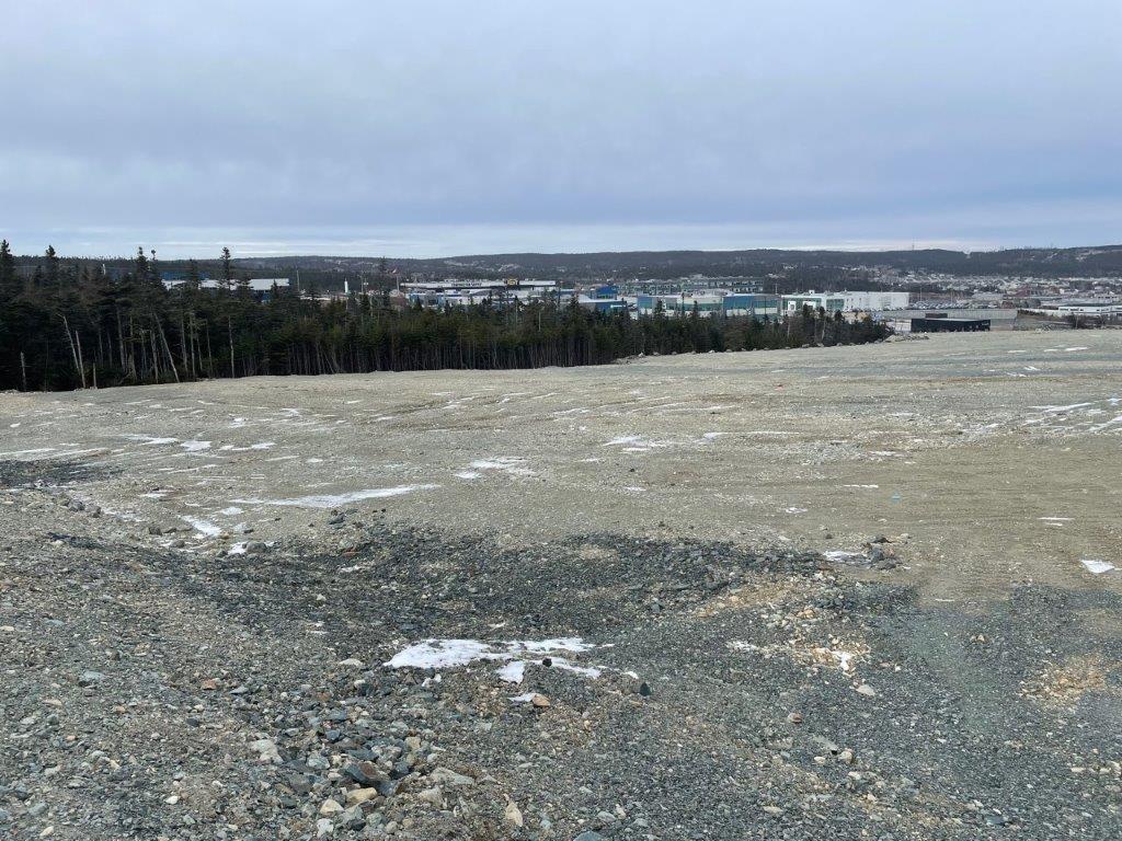 20 Edmonds Place, St. John'S, NL