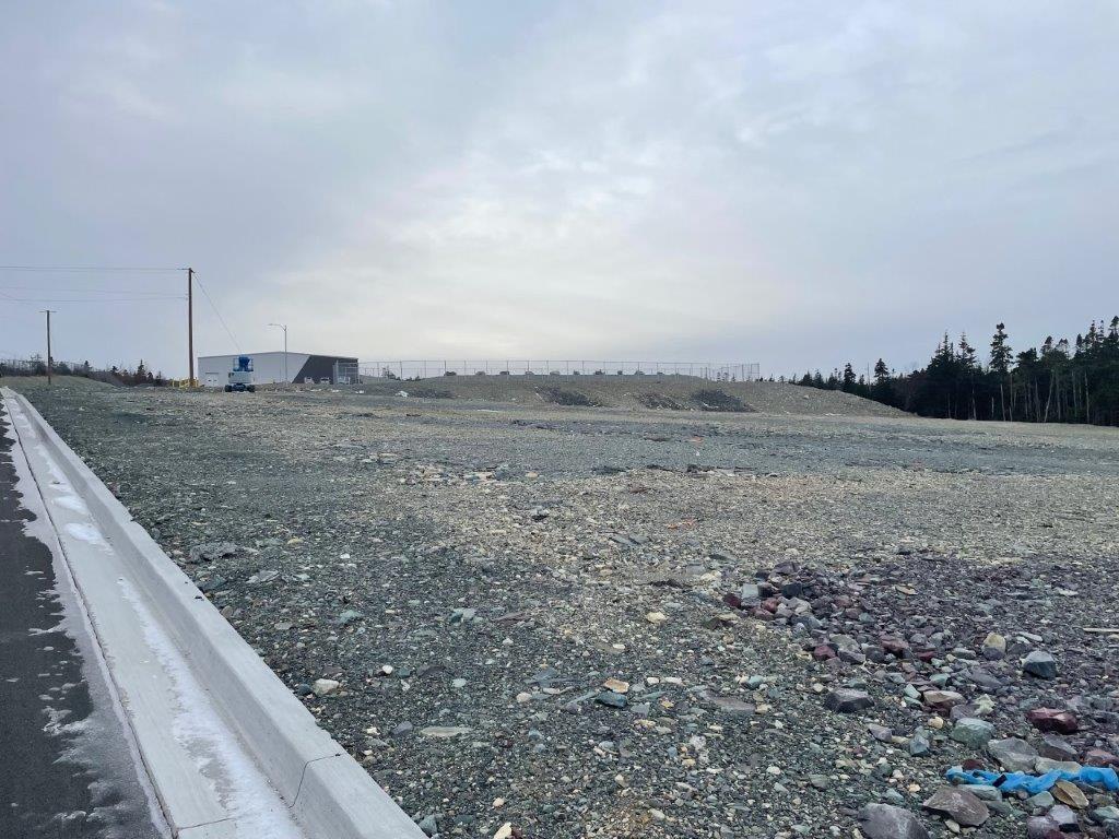 20 Edmonds Place, St. John'S, NL