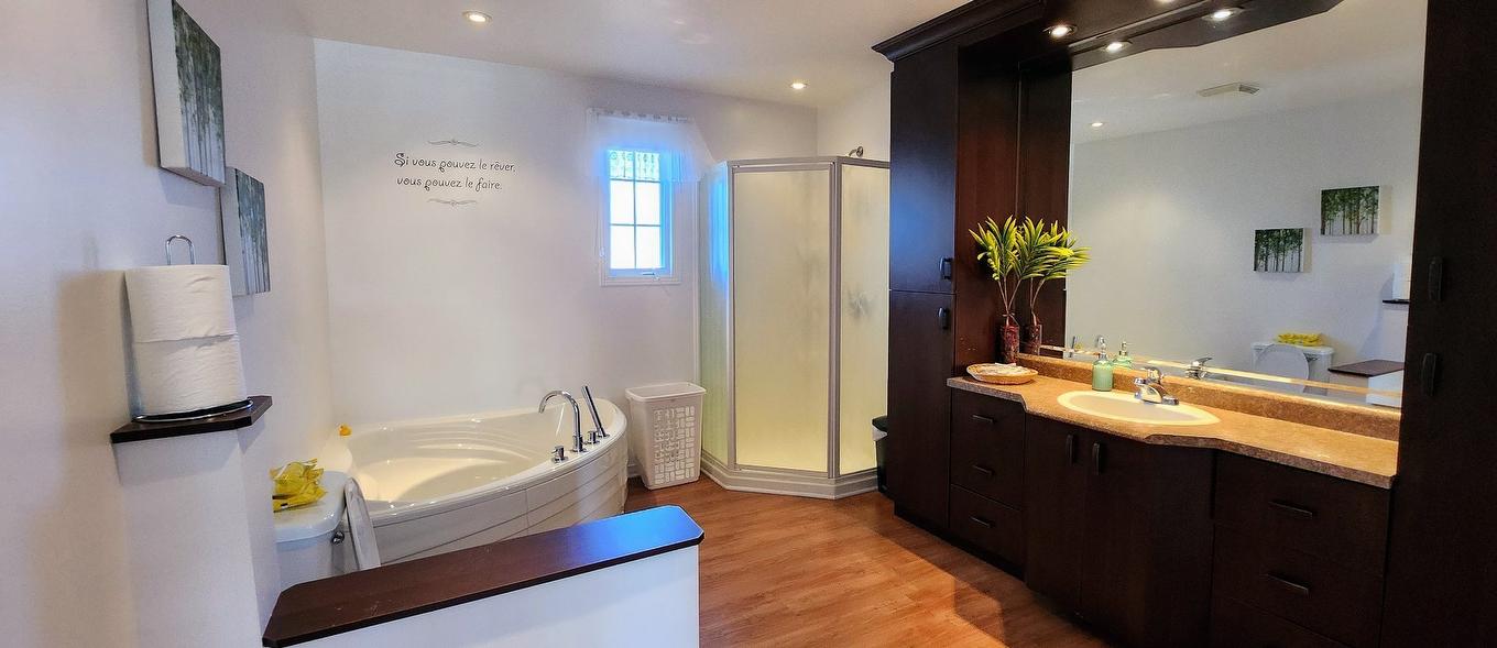 Salle de bains - 763 - 767 Rue St-Louis, Gatineau (Gatineau), QC - Indoor Photo Showing Bathroom