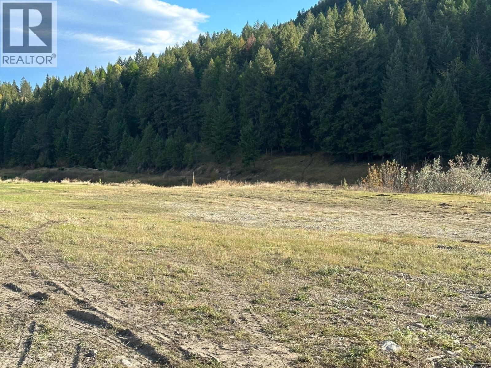 Lot 38 Laurier Avenue, Wardner, BC