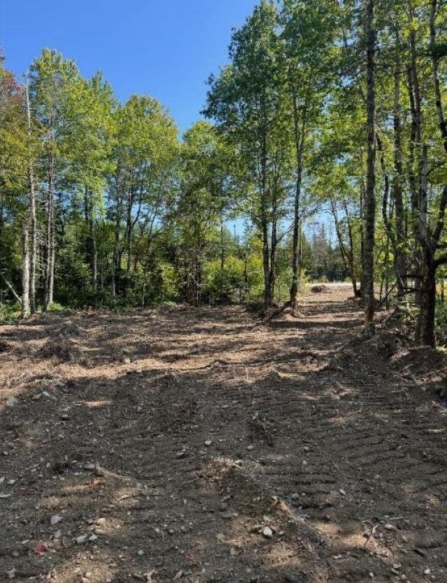 Lot Highway 203, East Kemptville, NS