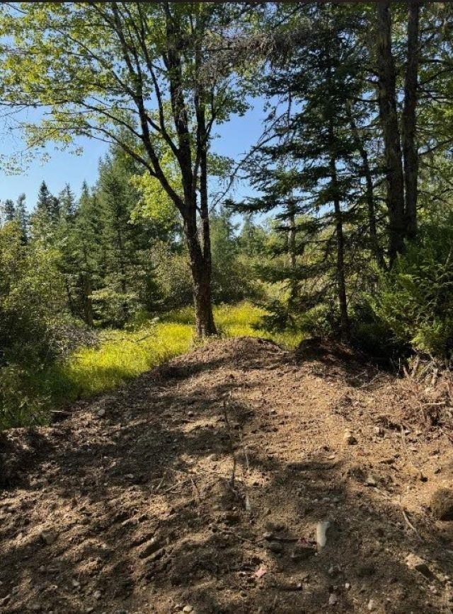 Lot Highway 203, East Kemptville, NS