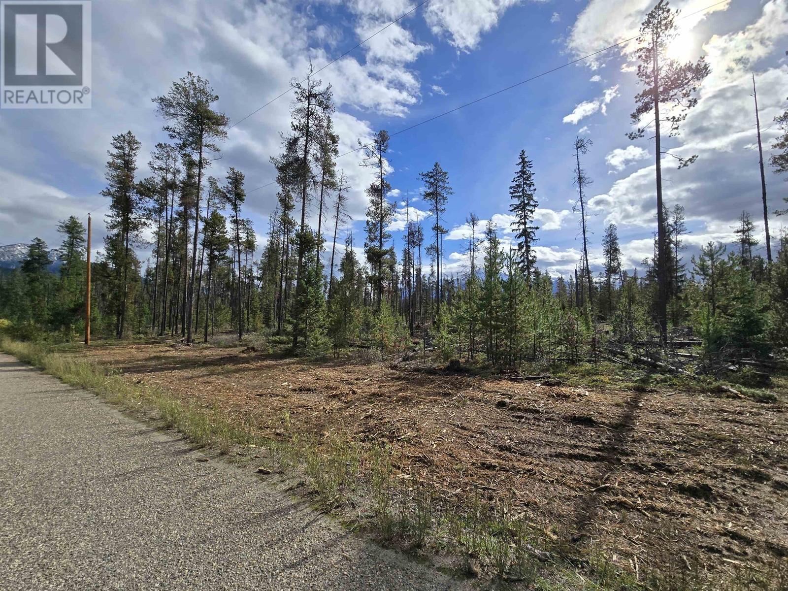 2350 Bailey Road, Valemount, BC