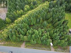 44 ELDERBERRY STREET Kitimat, BC V8C 0A9