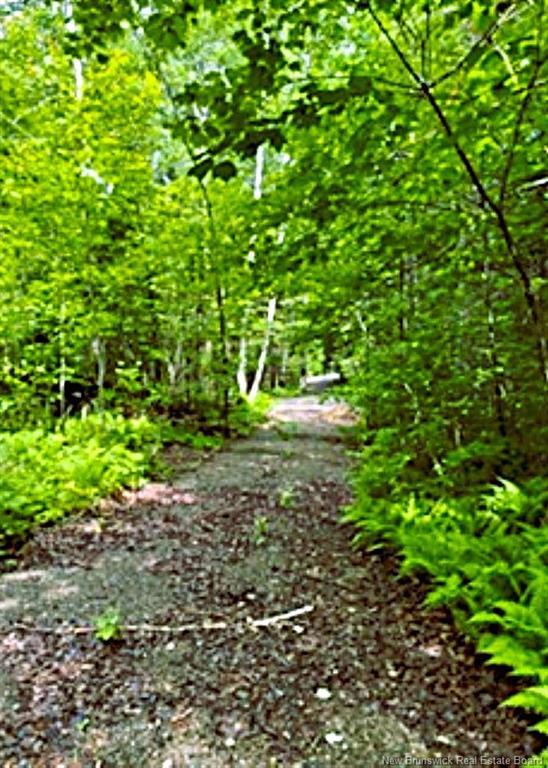 Lot 2 Highway Pokiok, Hawkshaw, NB
