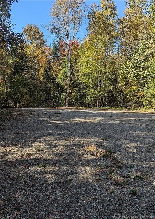 Lot 2 Highway Pokiok, Hawkshaw, NB